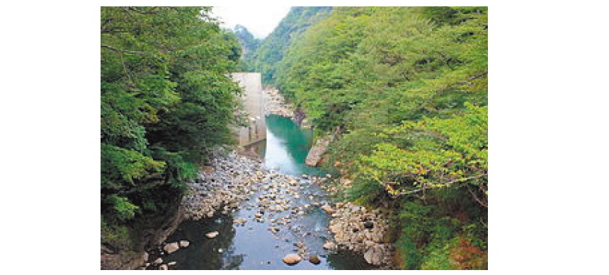 県や国・自治体に関する主な秋の諸行動予定（９月末現在）